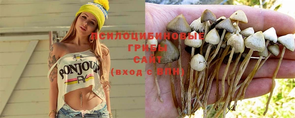 соль курить ск Инсар