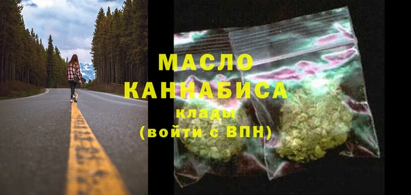метадон Инта