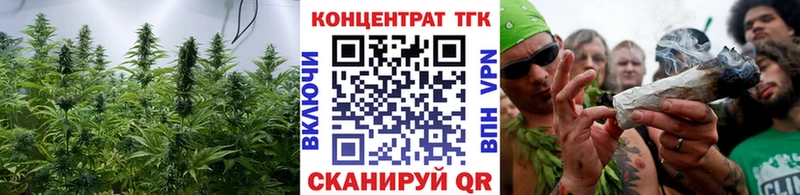 Купить где  Кадников  ТГК вейп 