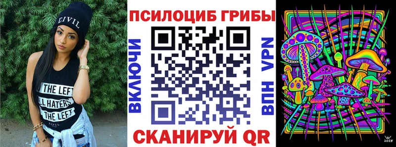 Купить где  Кадников  Галлюциногенные грибы прущие грибы 